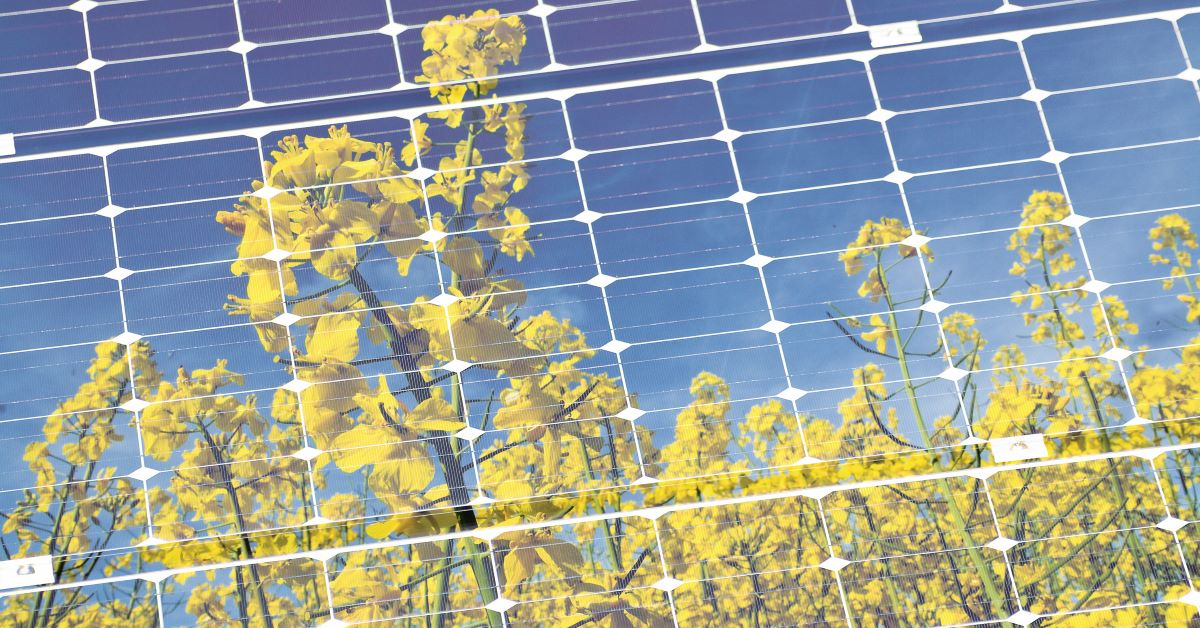 Investir dans le développement durable, soit dans ses trois axes \u2013 économique, environnemental et social - est de plus en plus évident pour les caisses de pension.