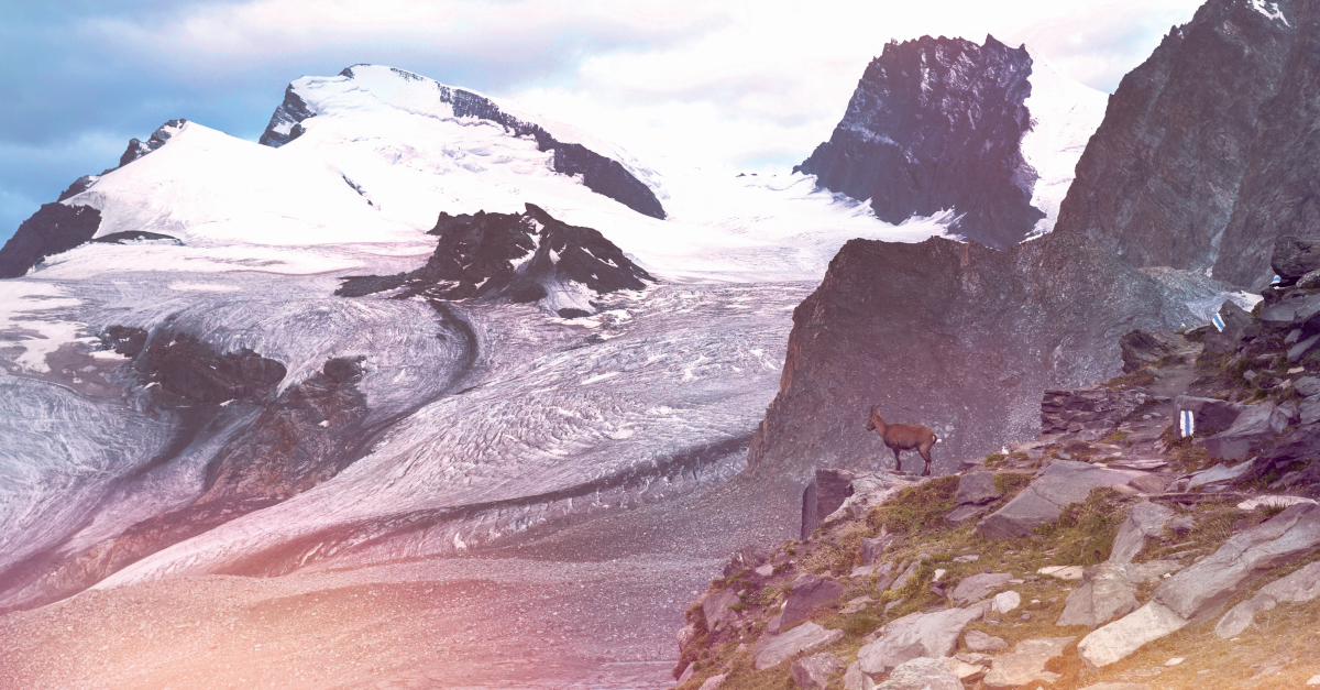 Glacier du Saastal, qui domine Saas Fee, en Valais.