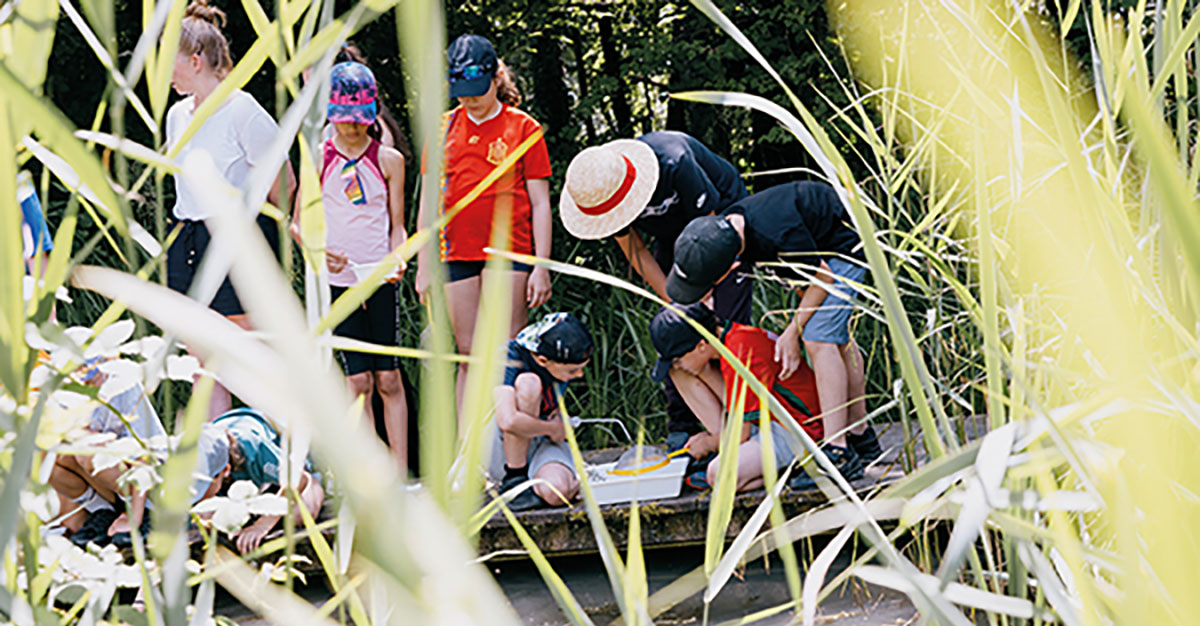 Le musée propose des expositions immersives, des animations en plein air et des espaces d’échange. 