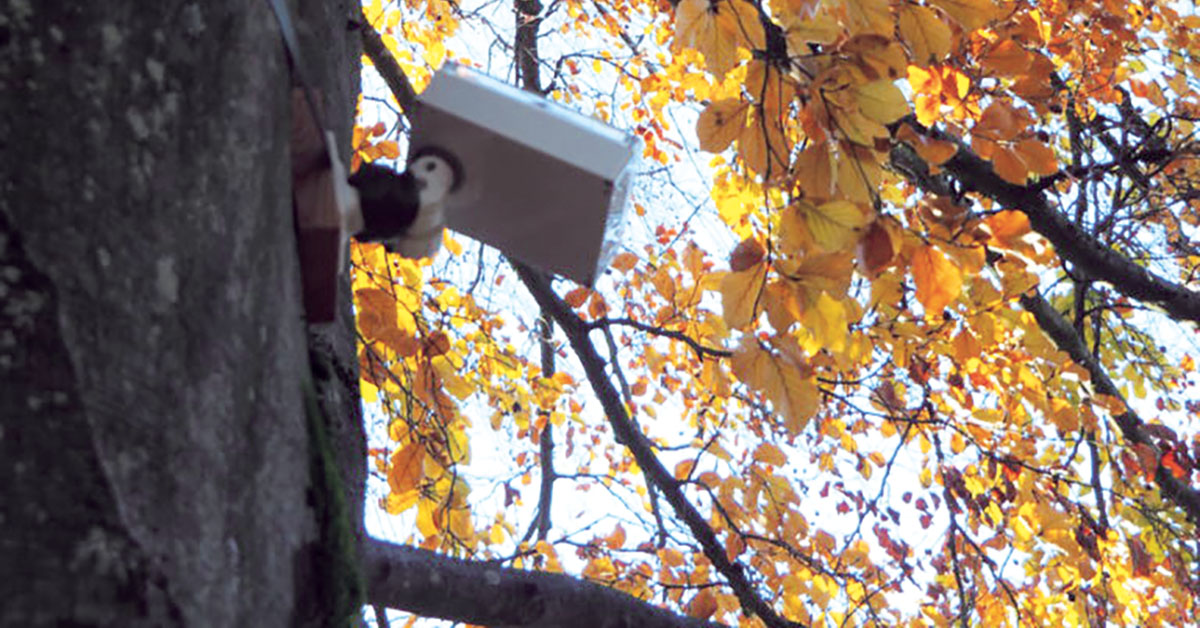Les boîtiers fonctionnent un peu comme une montre  connectée mesurant les paramètres vitaux de la personne qui la porte.