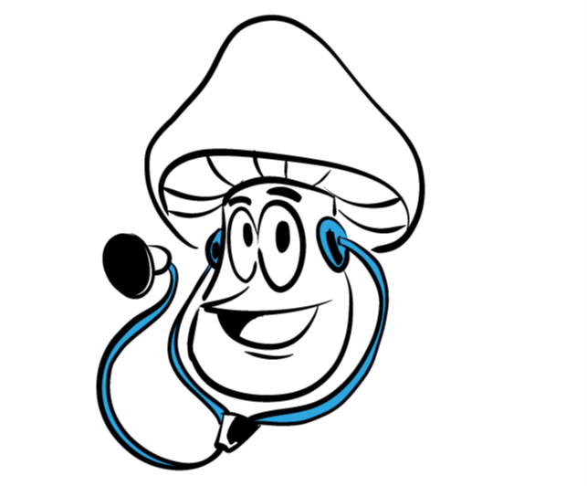 La recherche n'a fait qu'effleurer le potentiel pharmaceutique des champignons