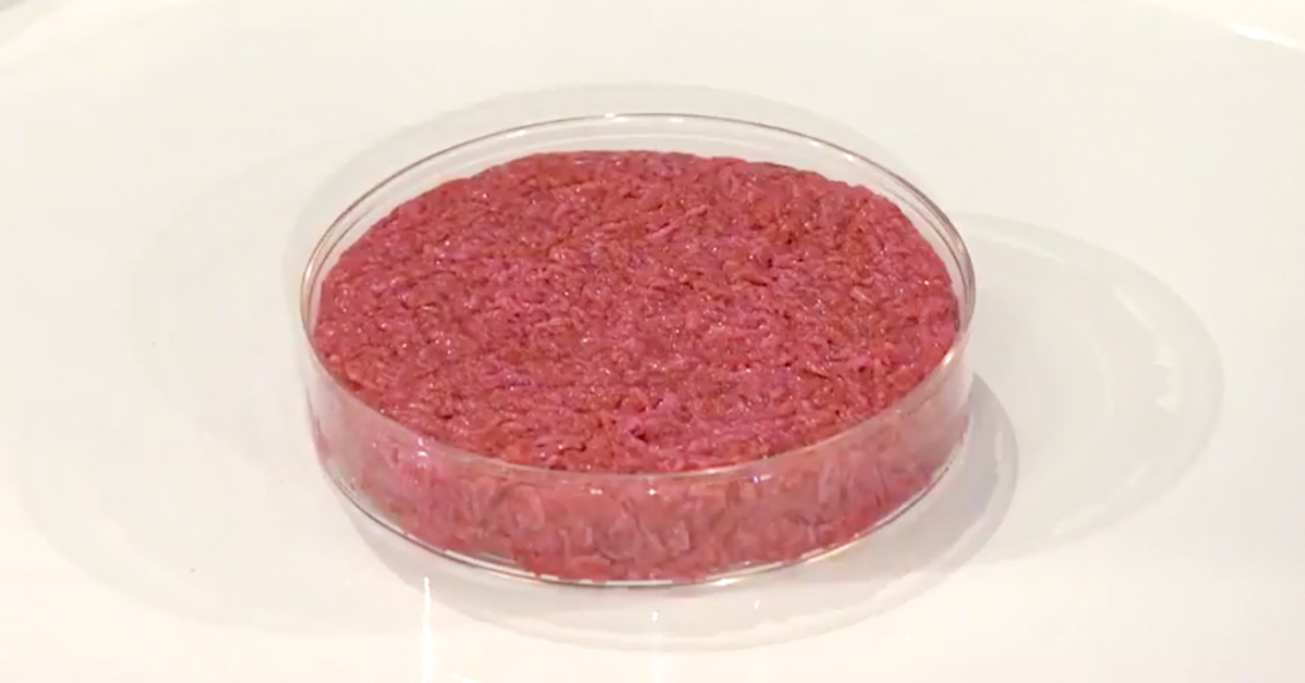 Le premier hamburger composé de viande in vitro a été présenté en 2013.