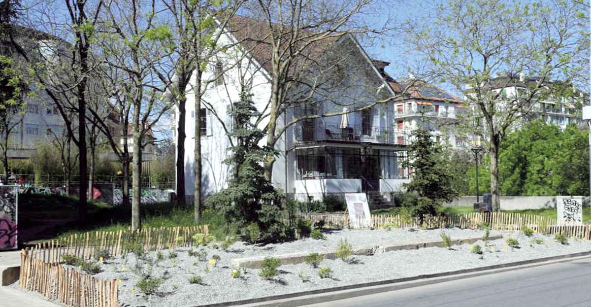 Le plus petit jardin botanique de Suisse se trouve à la rue de Saint-Jean. 