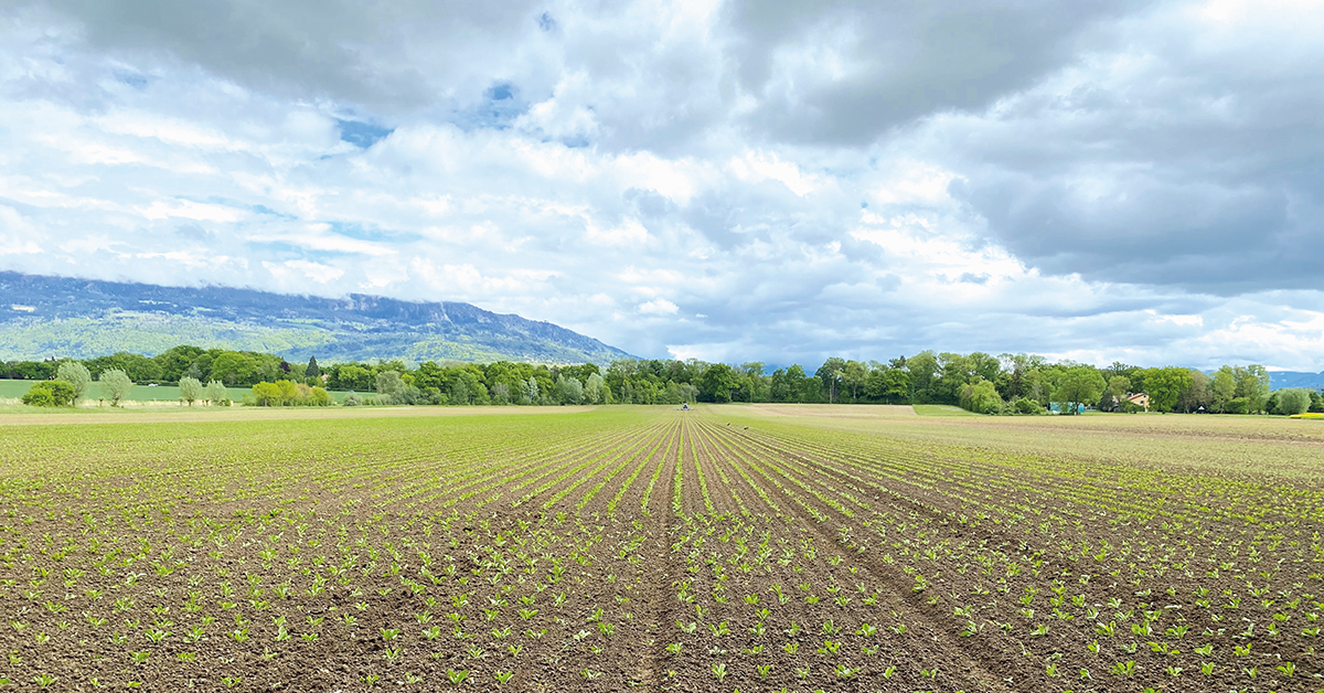 Genève doit préserver ses zones agricoles.