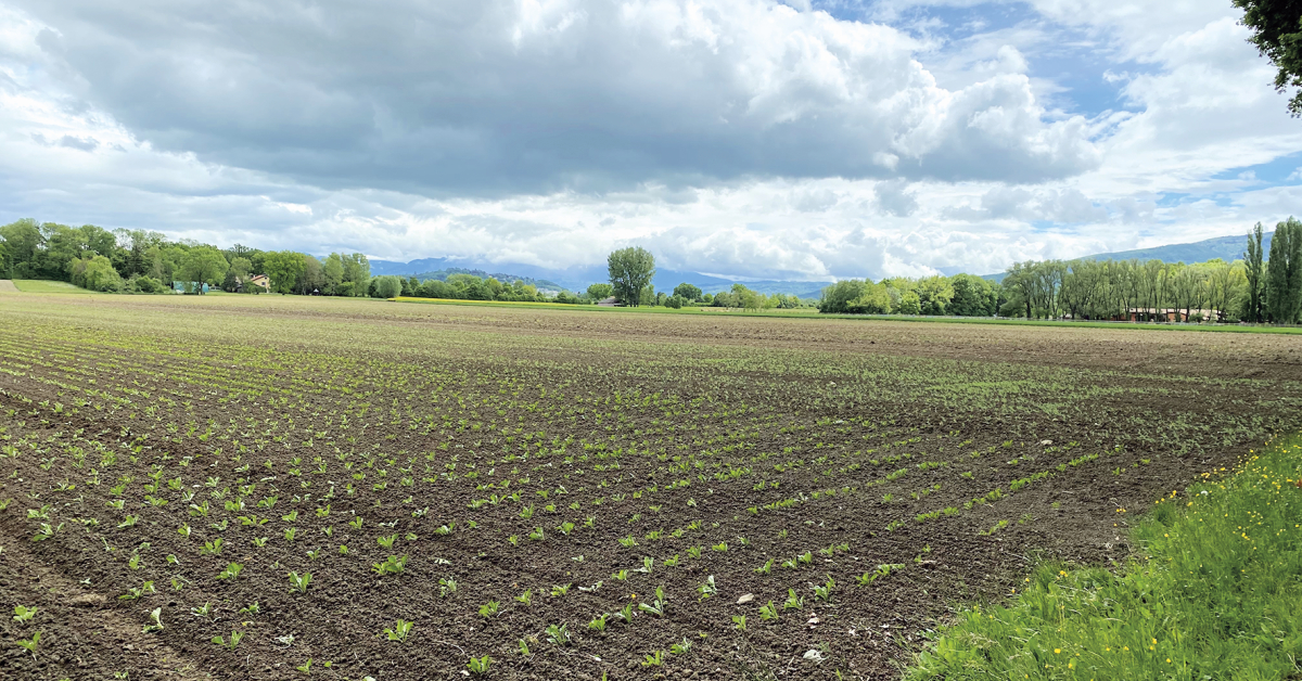 L’agriculture biologique n’est pas en mesure de nourrir la planète entière, même au prix d’un changement profond de nos habitudes alimentaires.