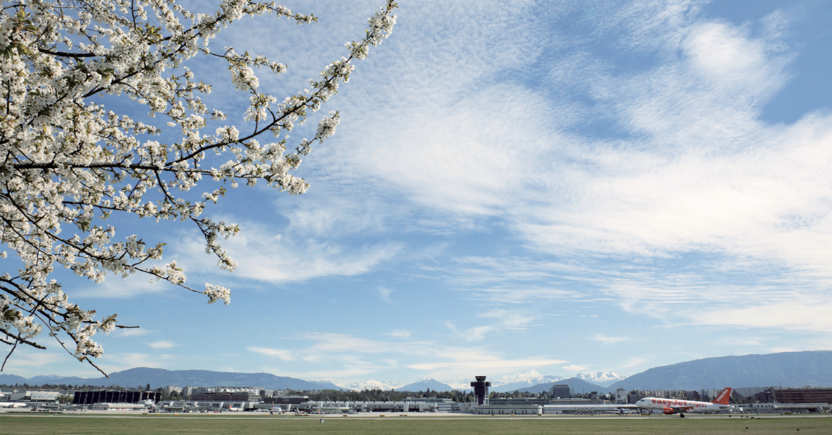 Genève-Aéroport a été certifié par la Fondation Nature & Economie. Le site aéroportuaire recèle des trésors de biodiversité.