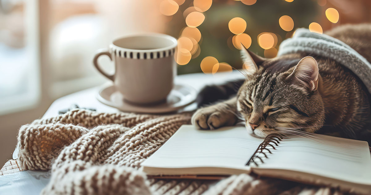 Profiter des plaisirs simples, c’est l’essence même du hygge.