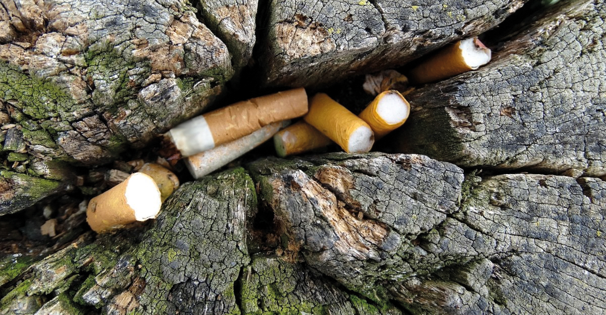 Les mégots sont souvent «dissimulés» dans des trous ou autres interstices.