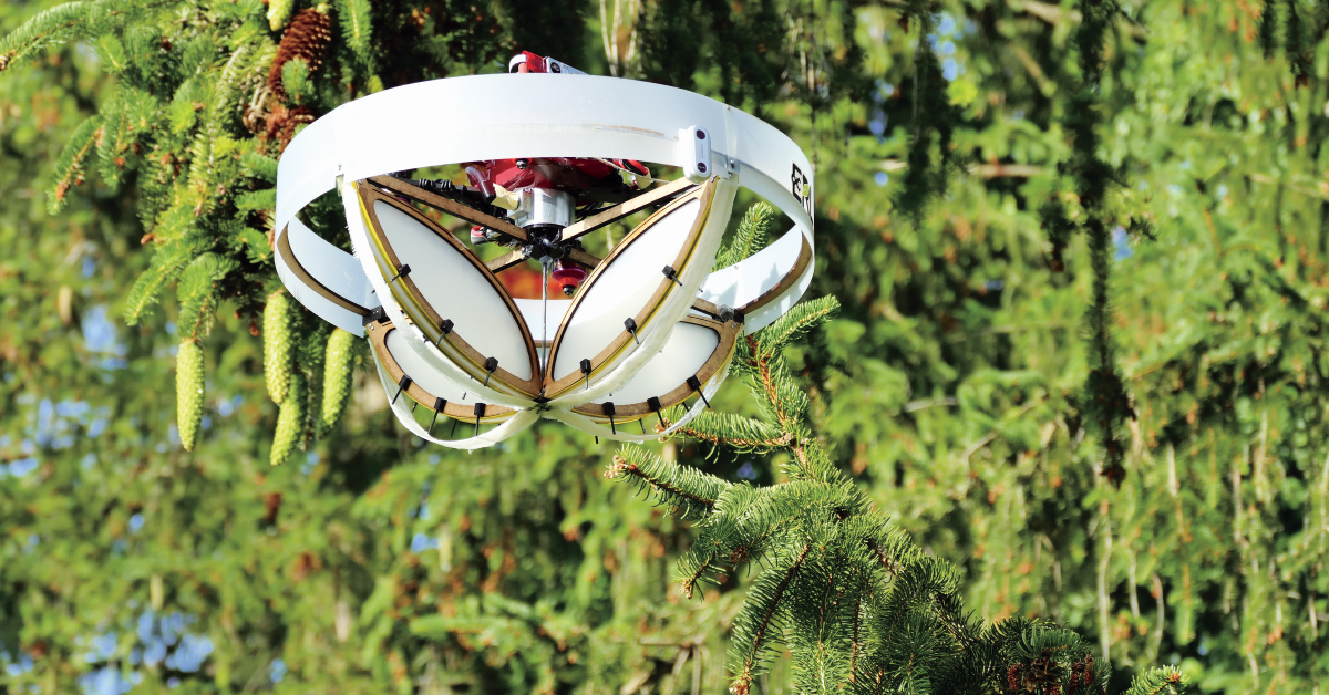 Le drone ouvre de nouvelles perspectives en matière de recensement des espèces.