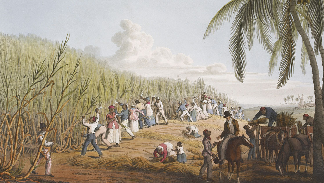 Esclaves sur les plantations de canne à sucre.