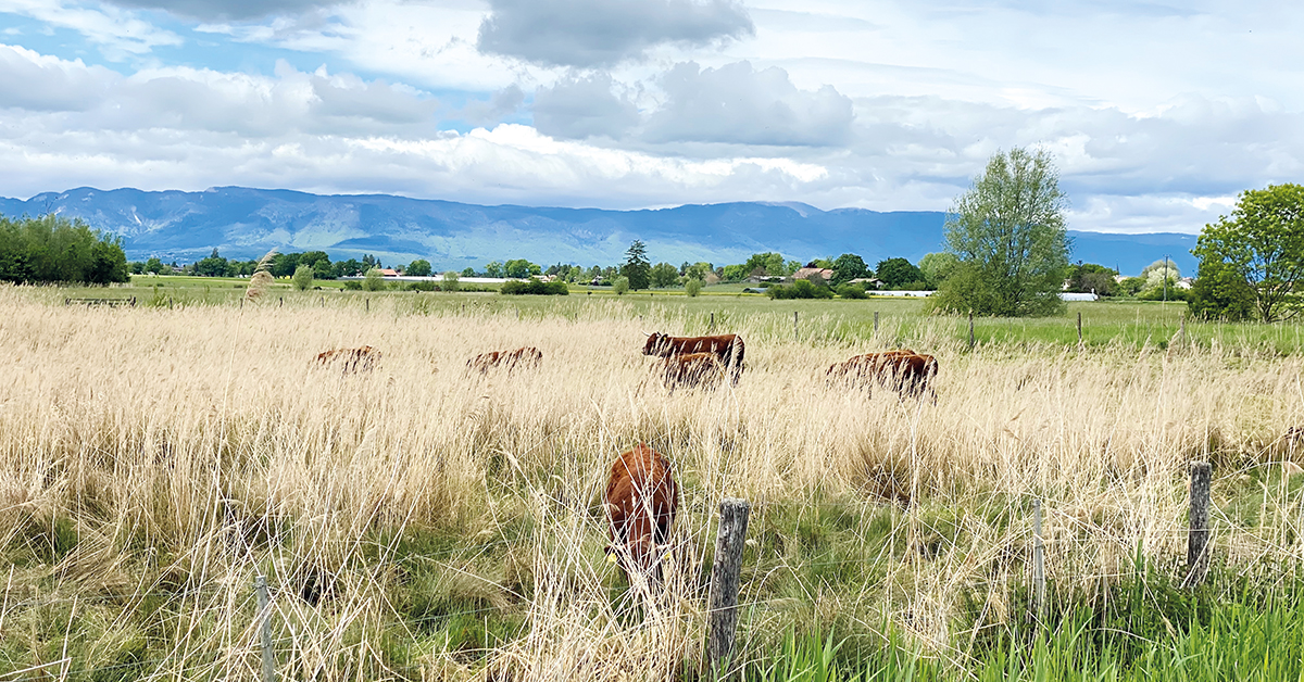 «Les agriculteurs font plus pour l’environnement que n’importe quelle autre branche économique»,  estime Aude Jarabo, directrice d’AgroImpact. 