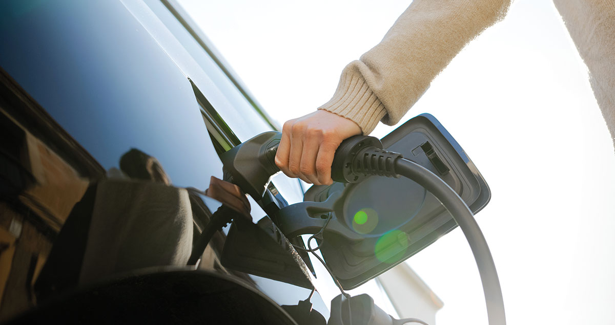 La réticence des clients à changer de type de motorisation est manifeste.